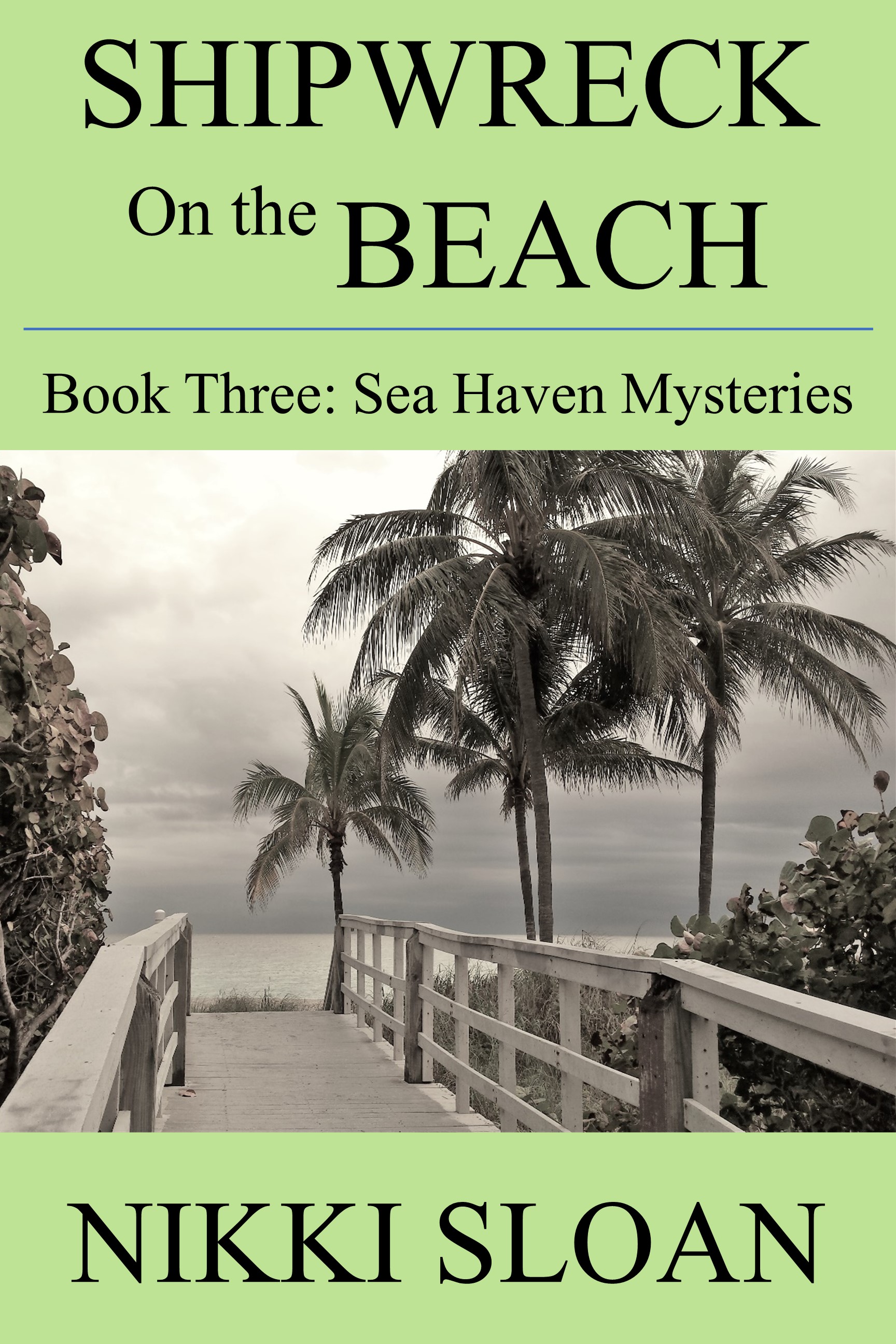 Shipwreck on the Beach
Book Three: Sea Haven Mysteries
by Nikki Sloan
